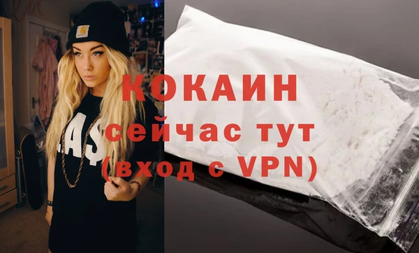 первитин Новодвинск