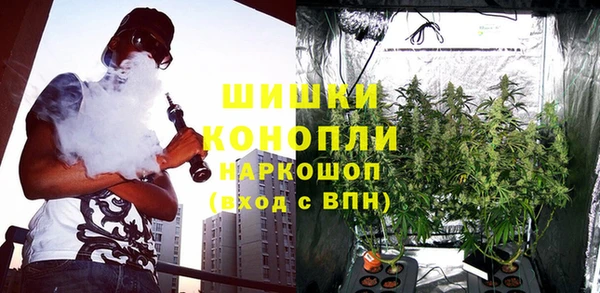 первитин Новодвинск