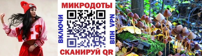 где купить наркоту  Хасавюрт  Галлюциногенные грибы Magic Shrooms 